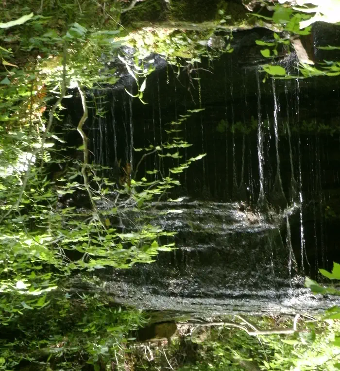 Backcountry Trail