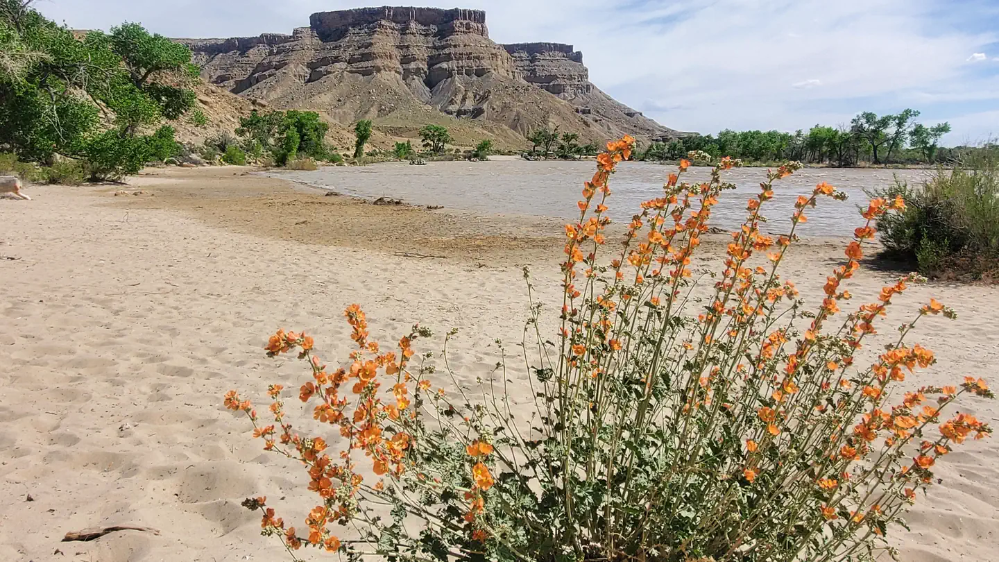 Swasey's Beach Campground