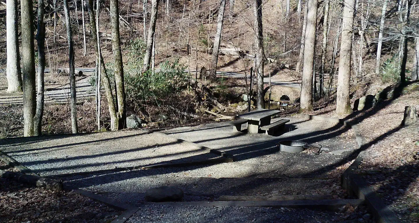Campsite 8