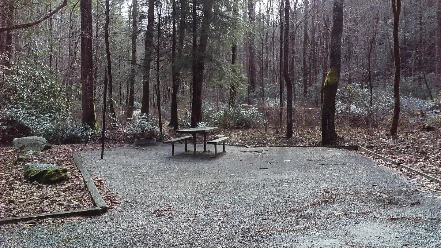 Campsite #7