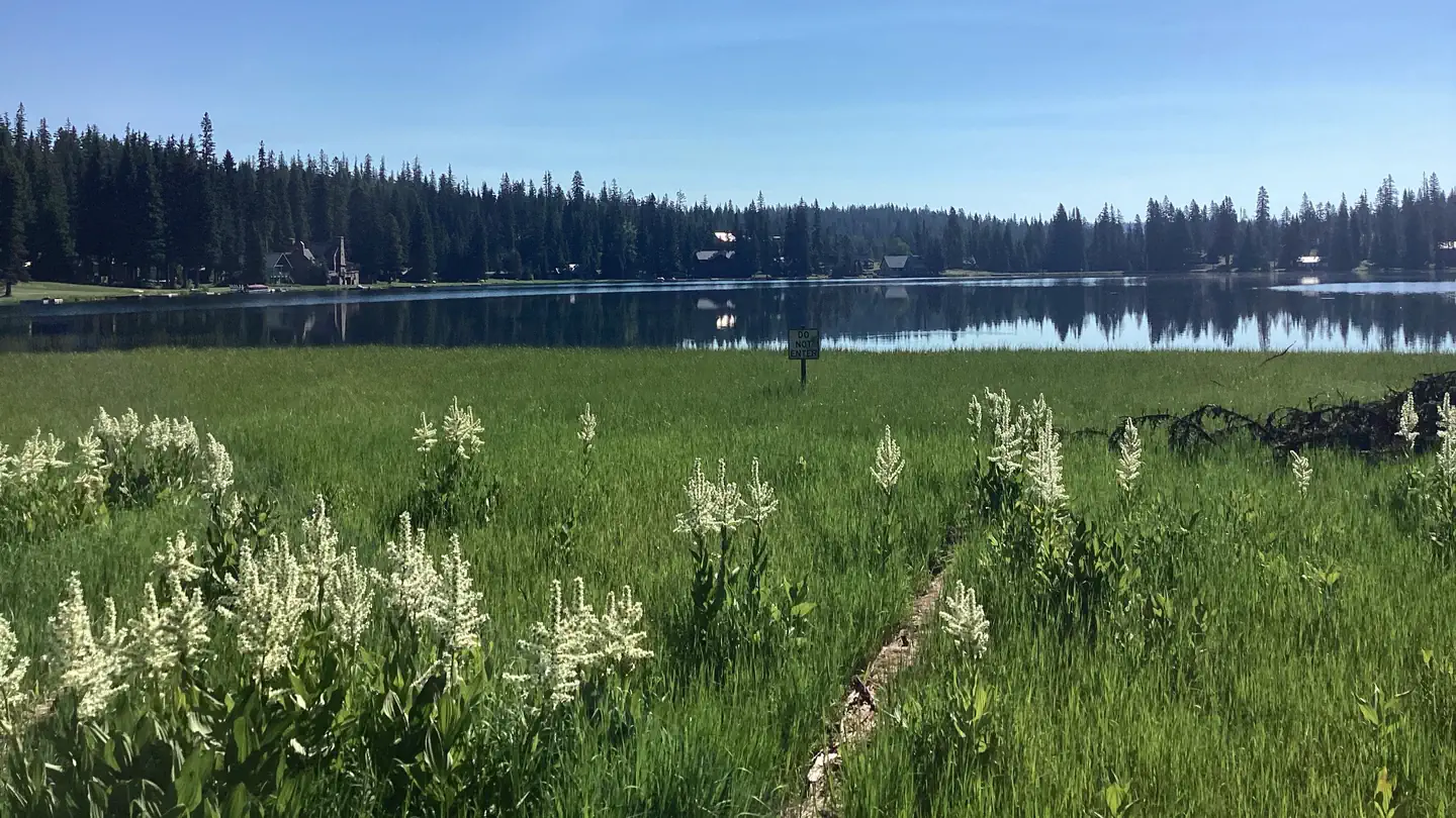 Woodward Campground