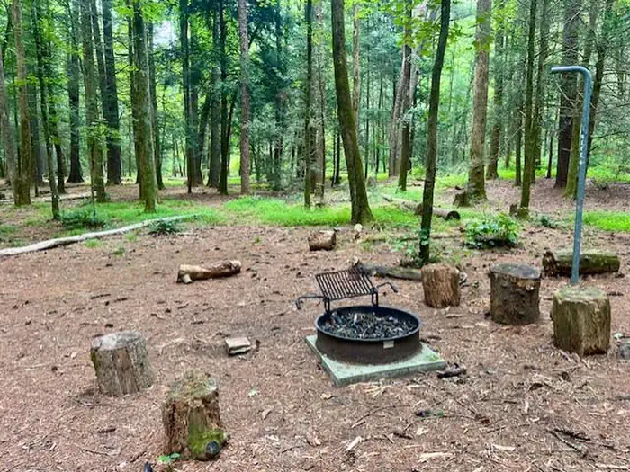 Campsites at Basin Cove Backcountry Camping