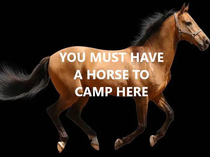 You must have a horse to camp here.