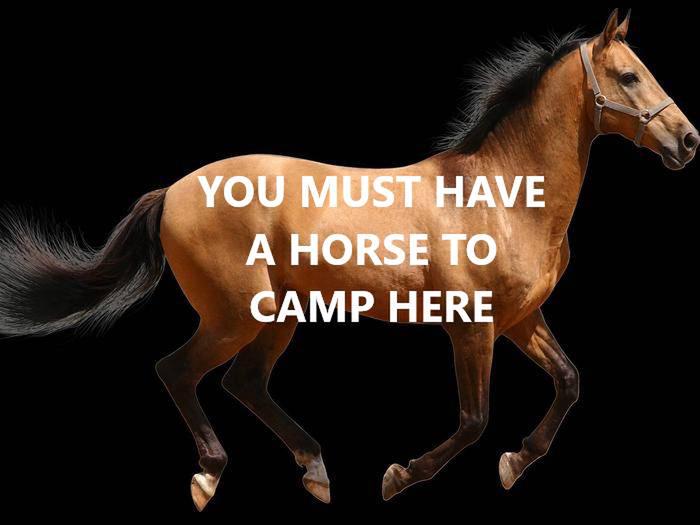 Must have a horse to camp here.