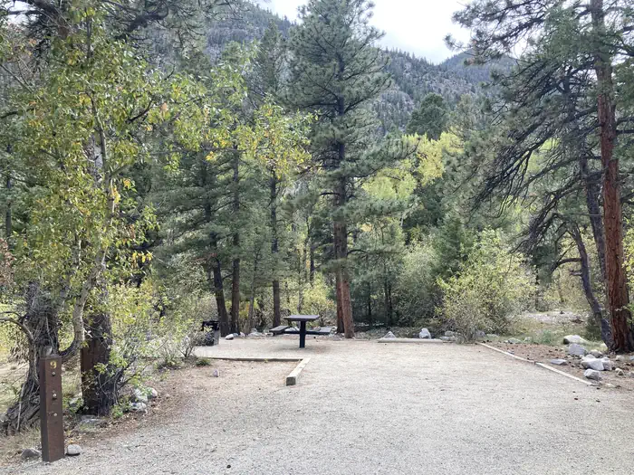 Campsite with rees, picnic tableand fire pit