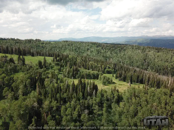 Wolf Creek (UT) aerial photo
