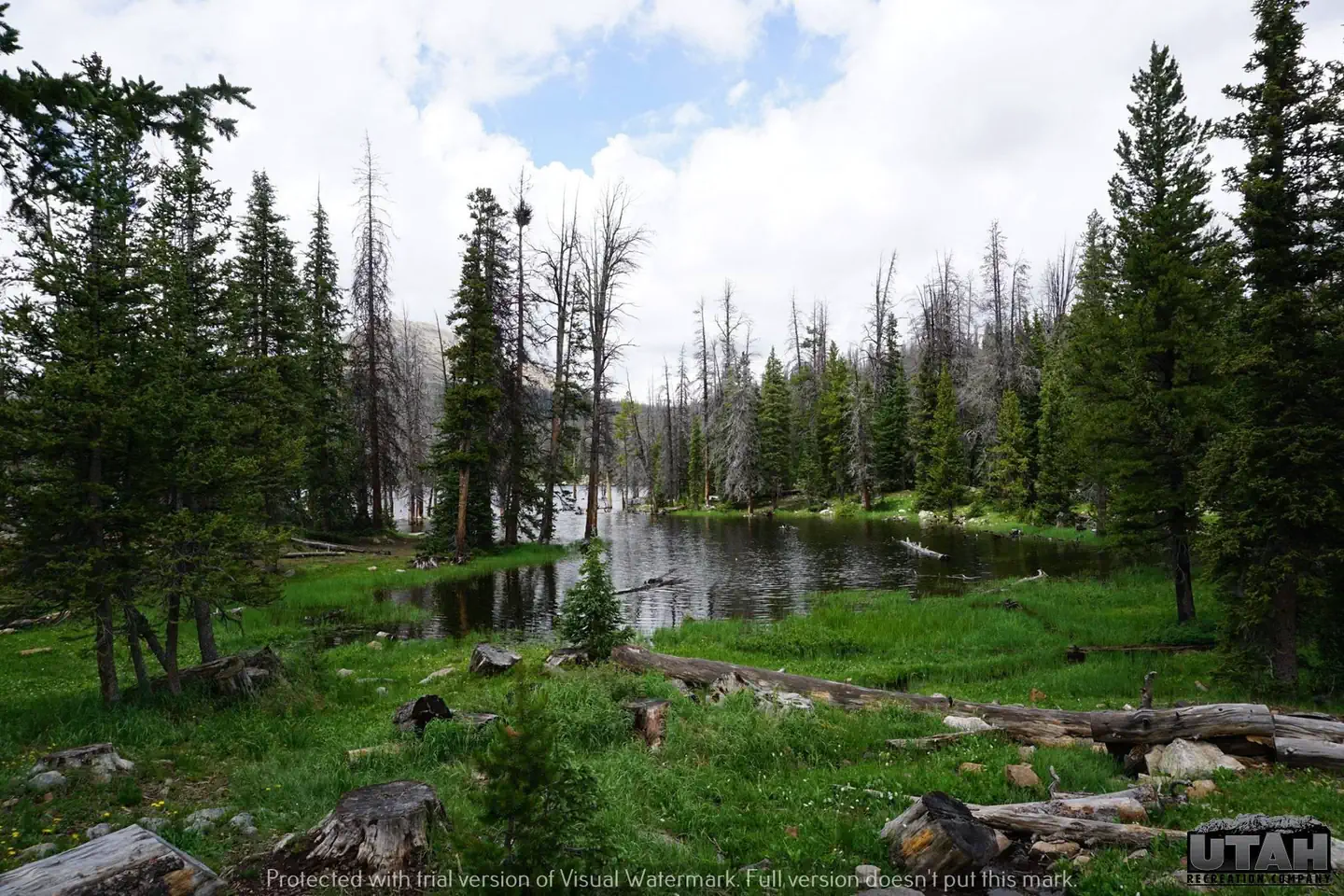 Trial Lake Campground