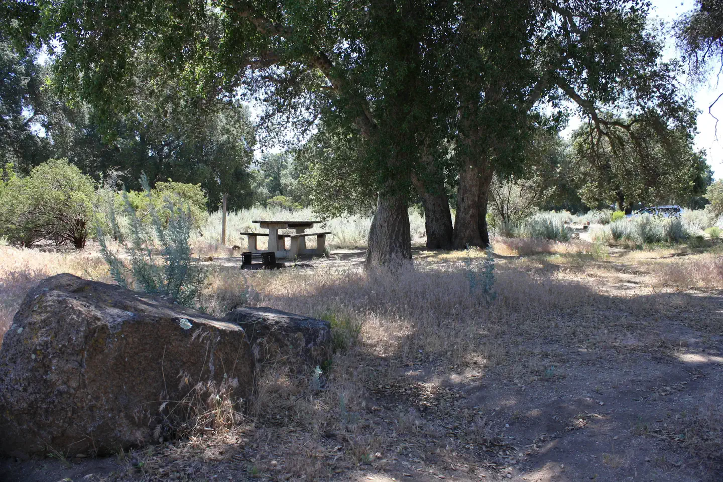 Shaded campsite
