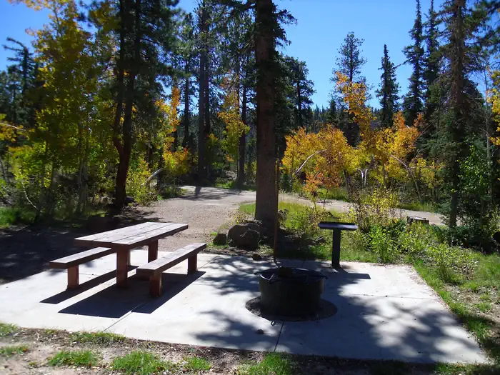 B - Loop campsite