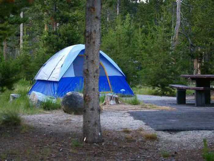 Glacier View tent