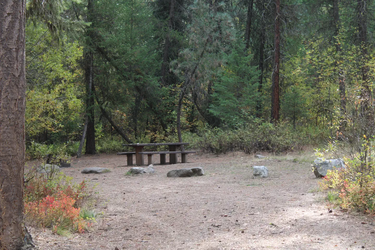 Park Creek Table