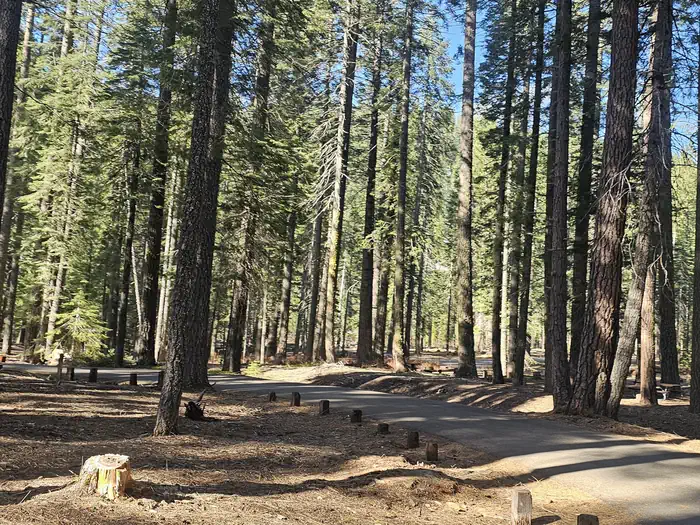 Gurnsey Creek Group Campground