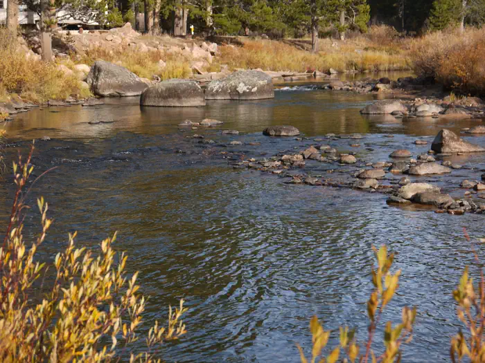 Prune Creek