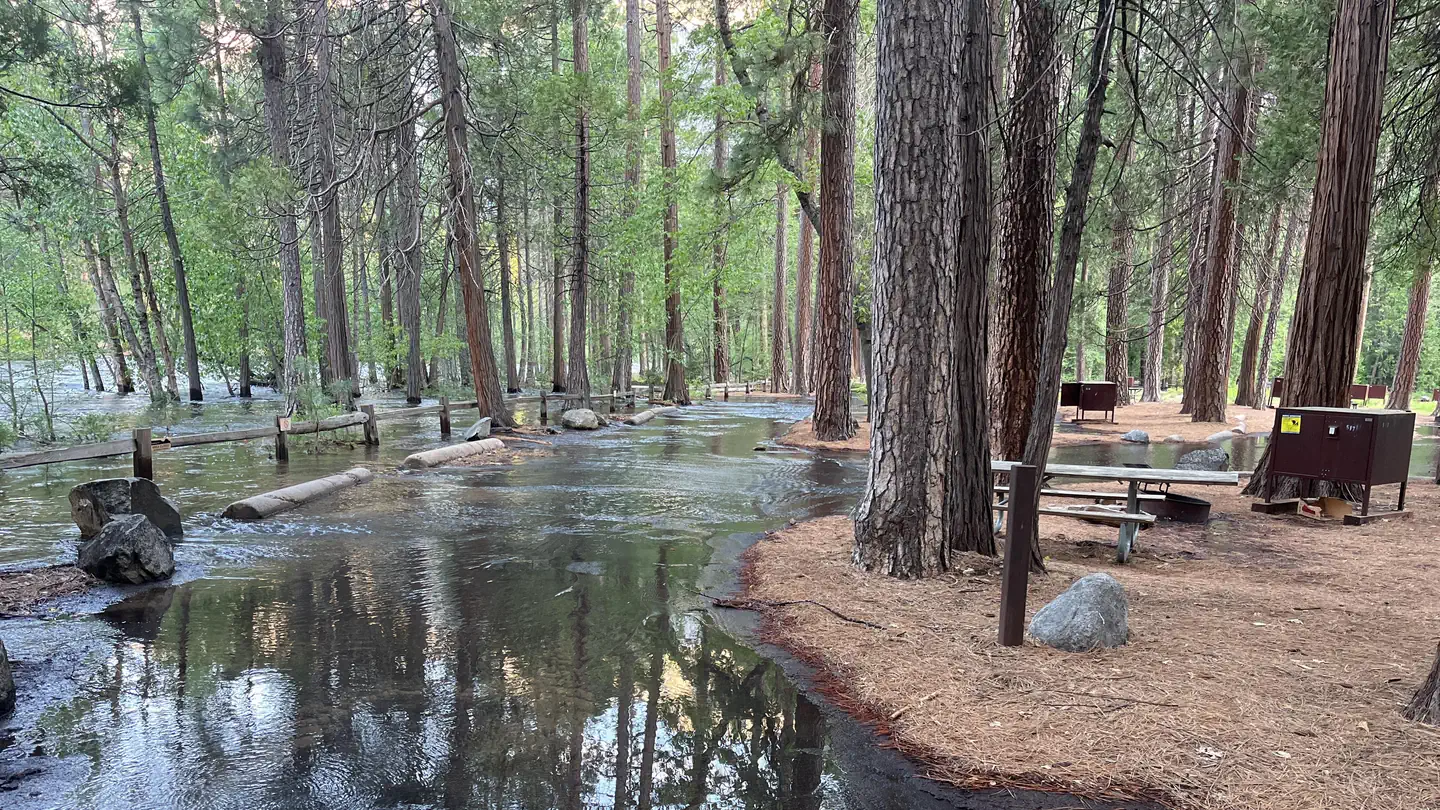 North Pines Campground