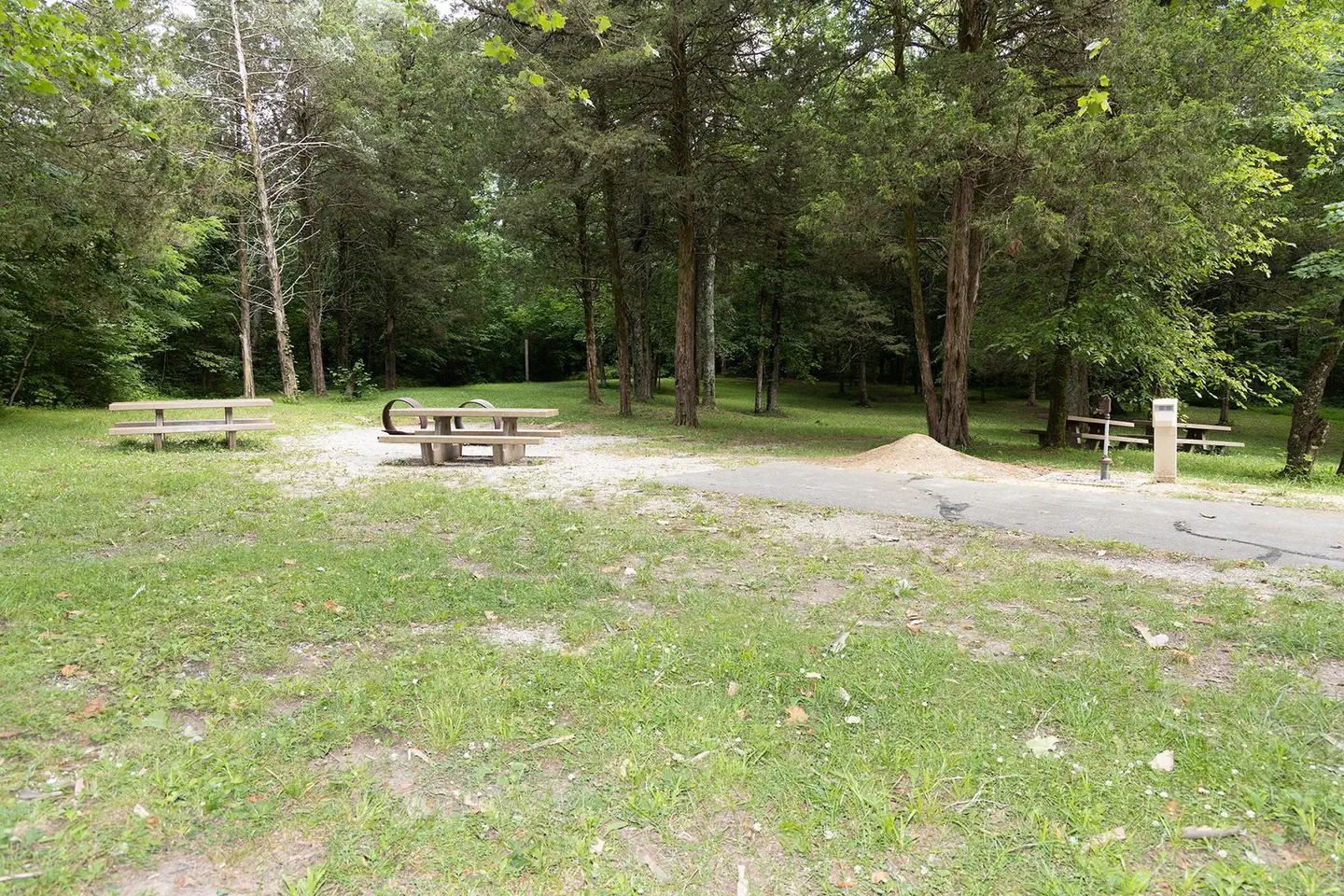Maple Springs Camp Site 5