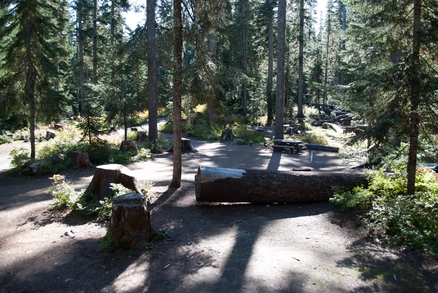 Takhlakh Lake Campsite loop