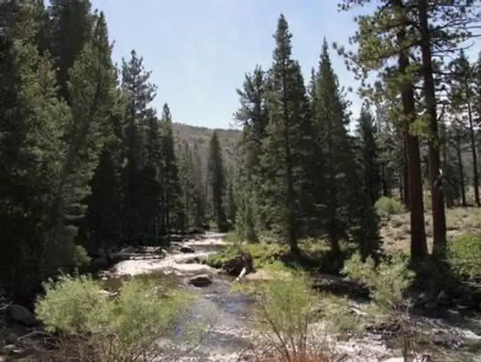 ROBINSON CREEK SOUTH