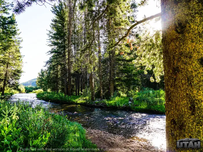 Sulphur Campground
