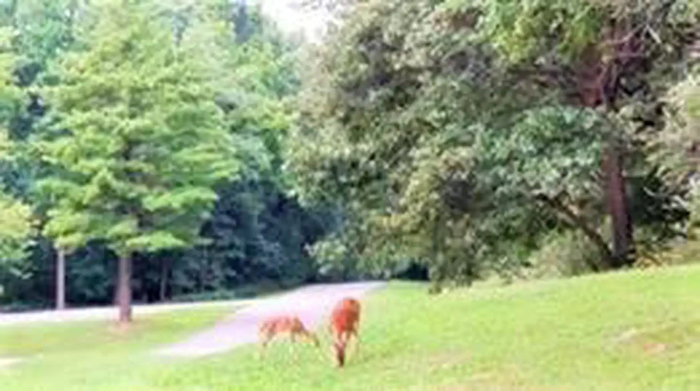 SOUTH SANDUSKY CAMPGROUND