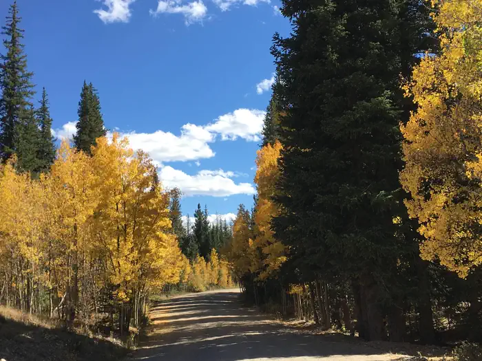 Aspen Campground