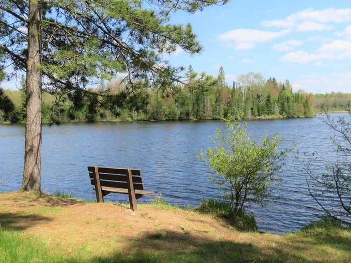 Bench on lakeshore