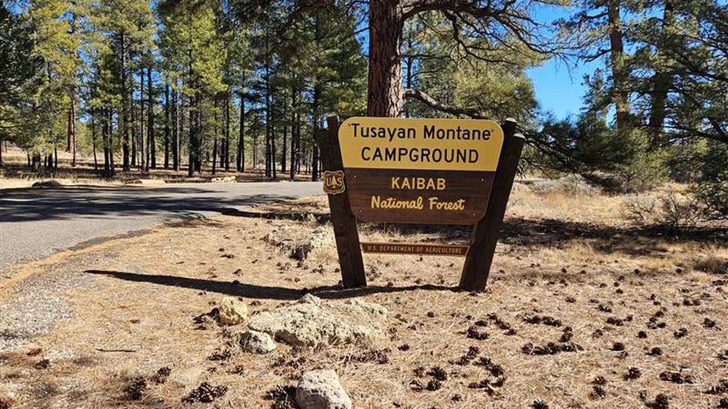 Tusayan - Montane