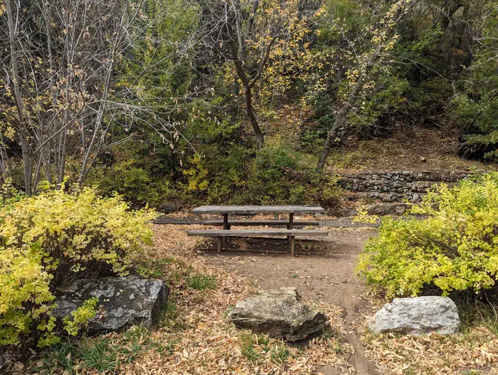 Dispersed Picnic Area