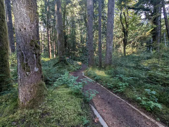 TRAIL