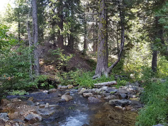 Creek at Berger