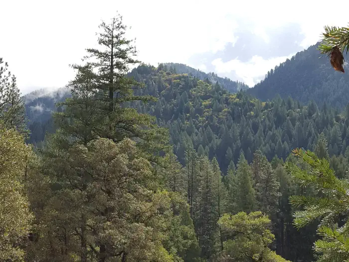 North Fork Yuba River Canyon