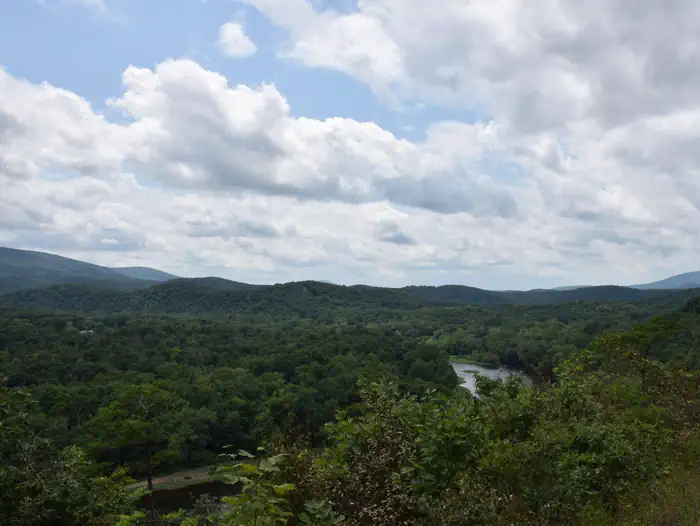 Potomac River near 15 Mile Creek