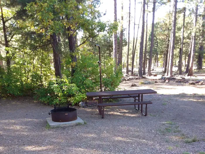 Site 17