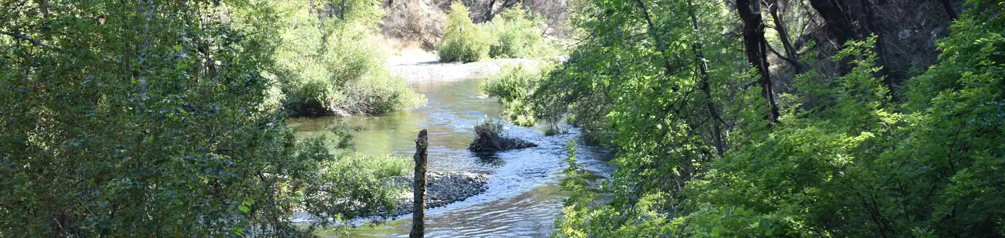 PELTIER BRIDGE PRIMITIVE CAMPGROUND