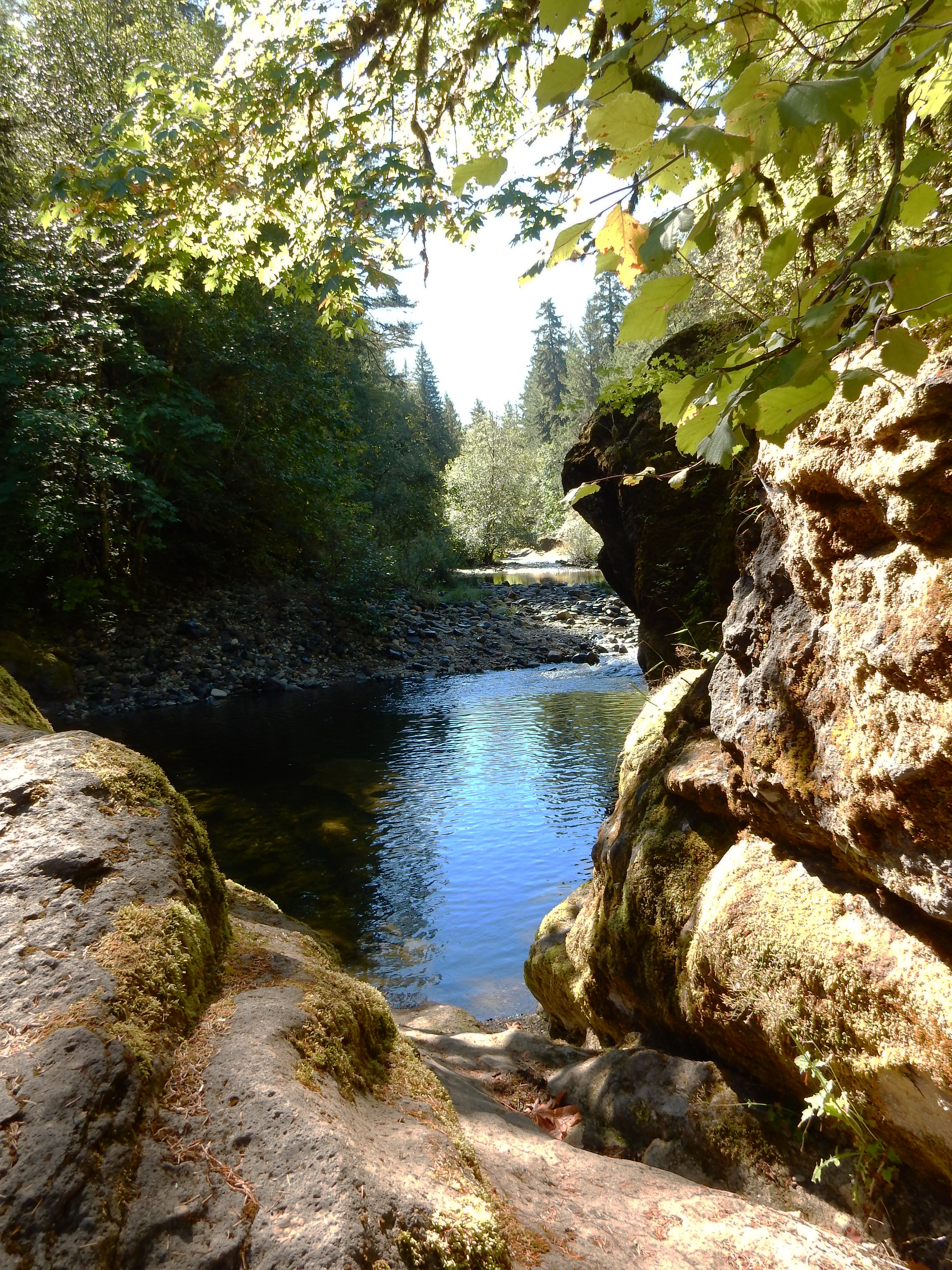 Sharps Creek Recreation Site