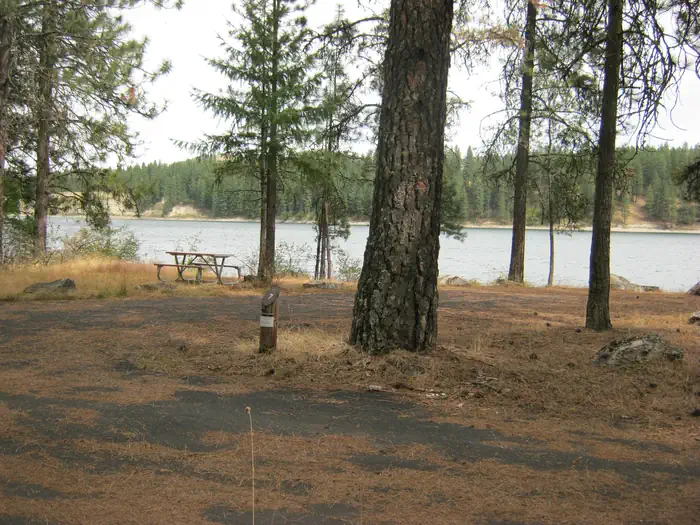 Campsite with trees and river in the background