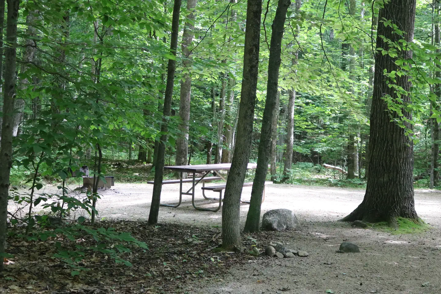 Covered Bridge CG
