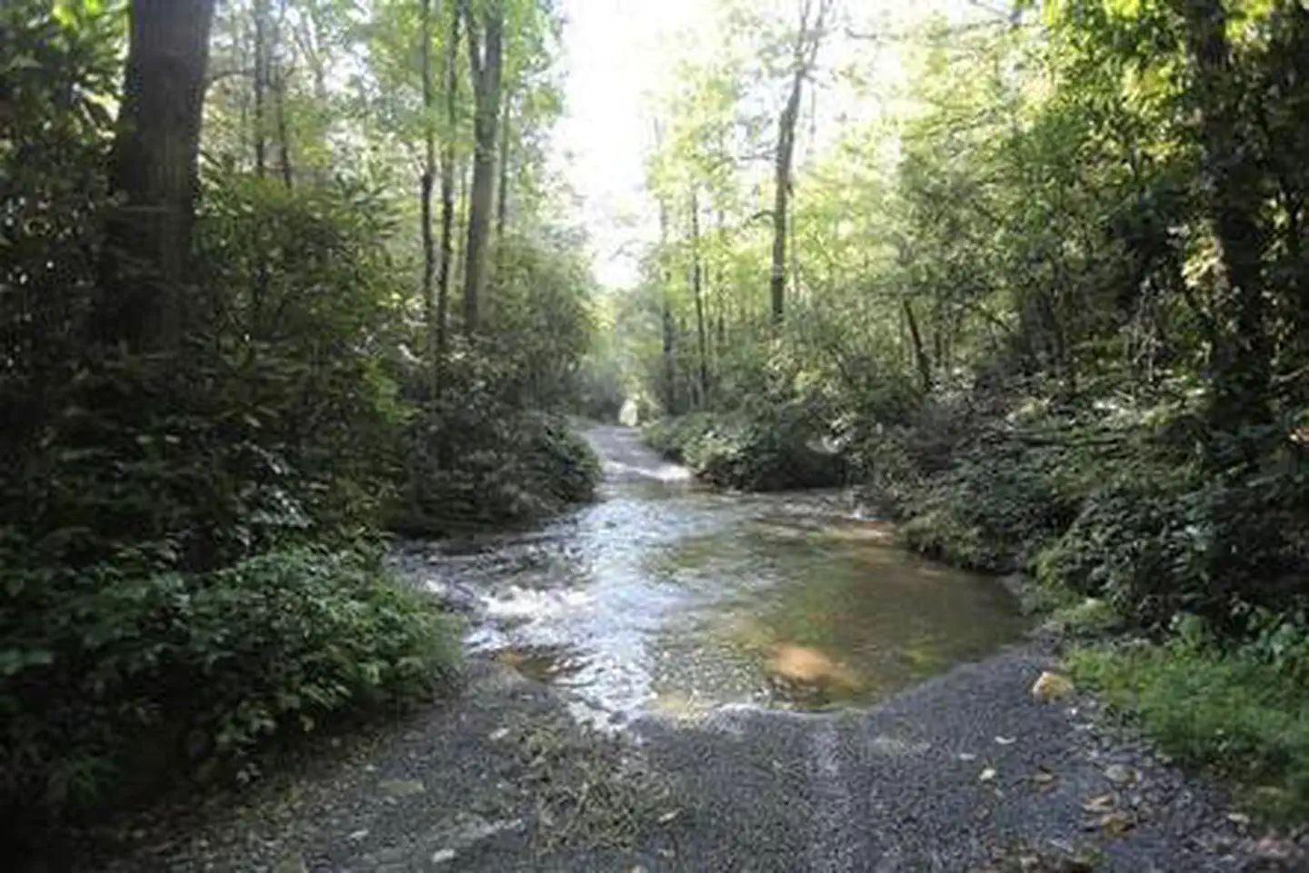 COVE CREEK UPPER GROUP CAMPGROUND.