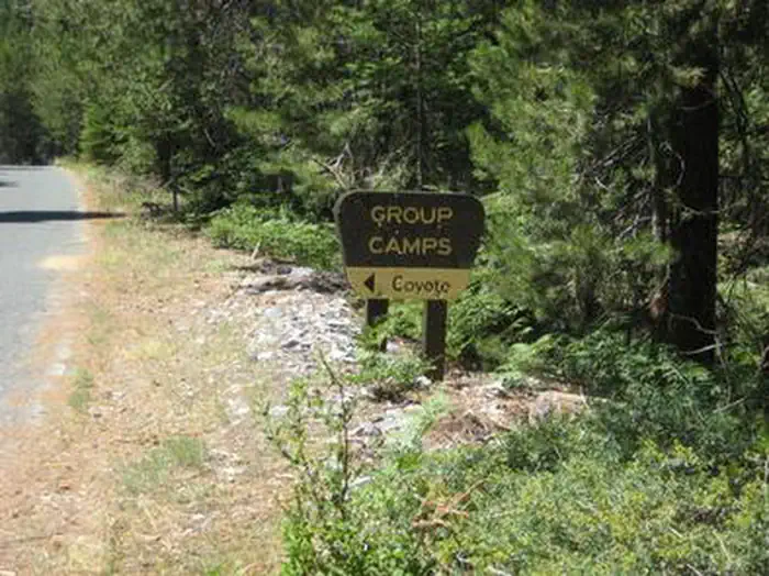 COYOTE GROUP