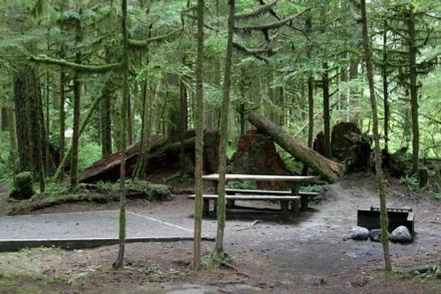 Gold Basin Campground