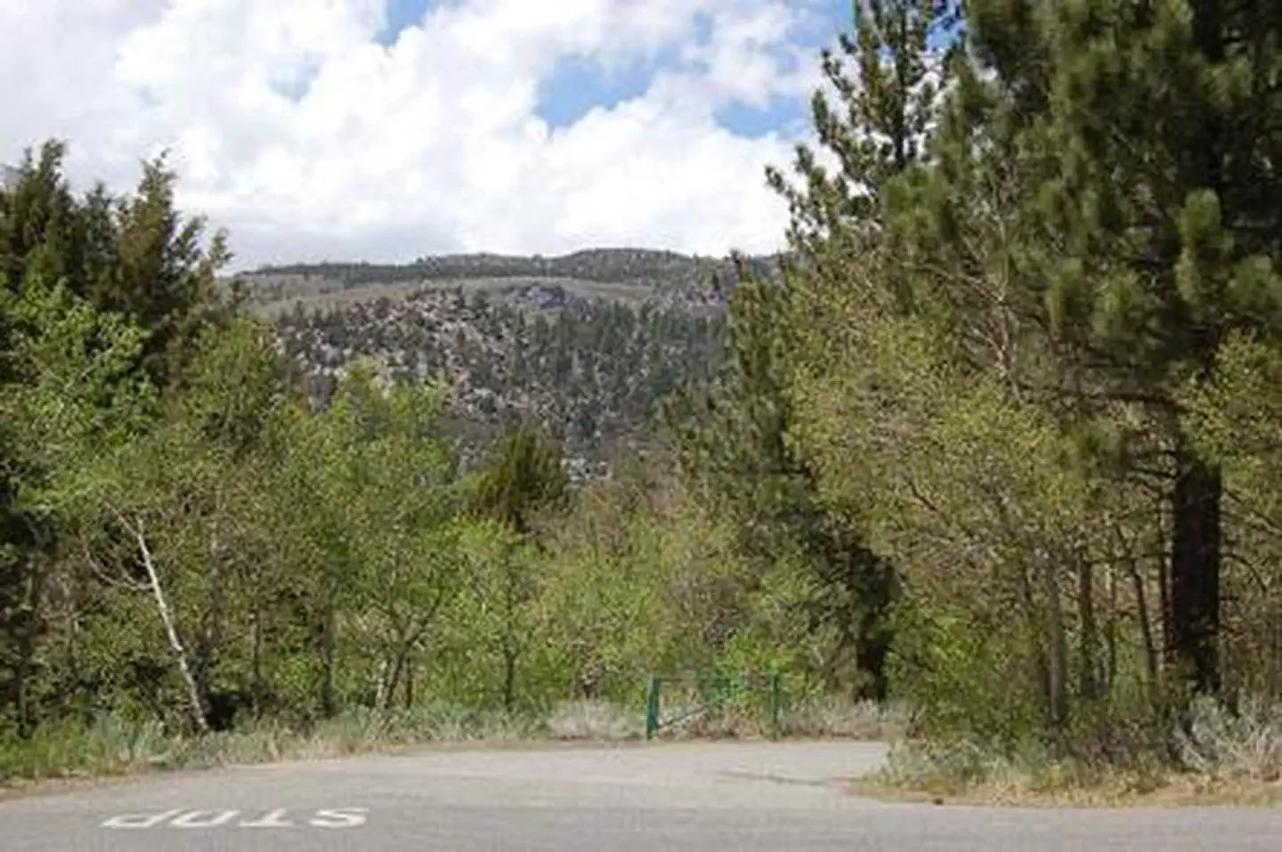 JUNE LAKE