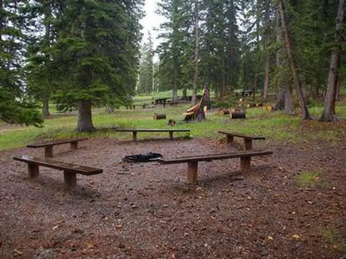 IRON SPRINGS GROUP ASHLEY