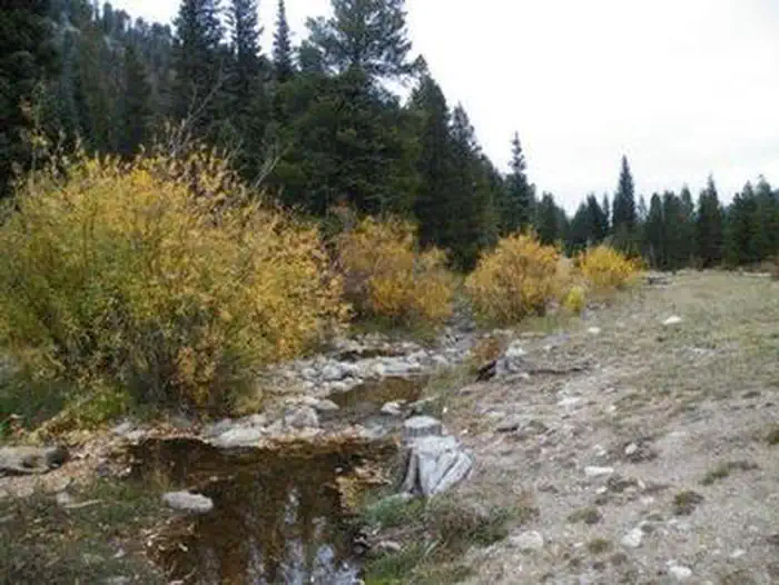CAMP DICK Creek