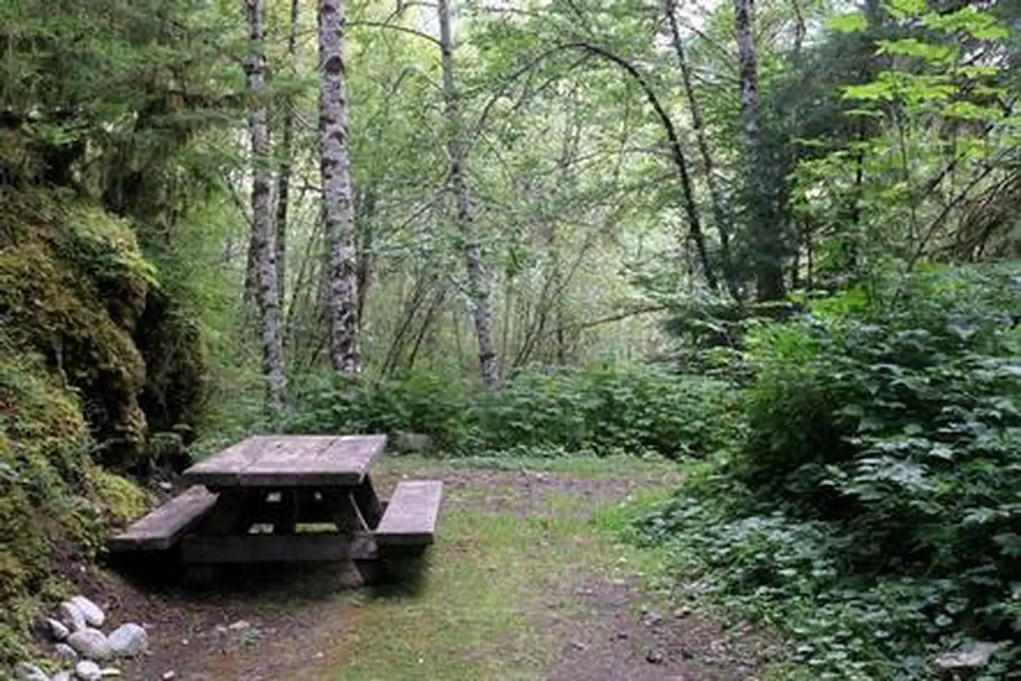 Esswine Group Camp