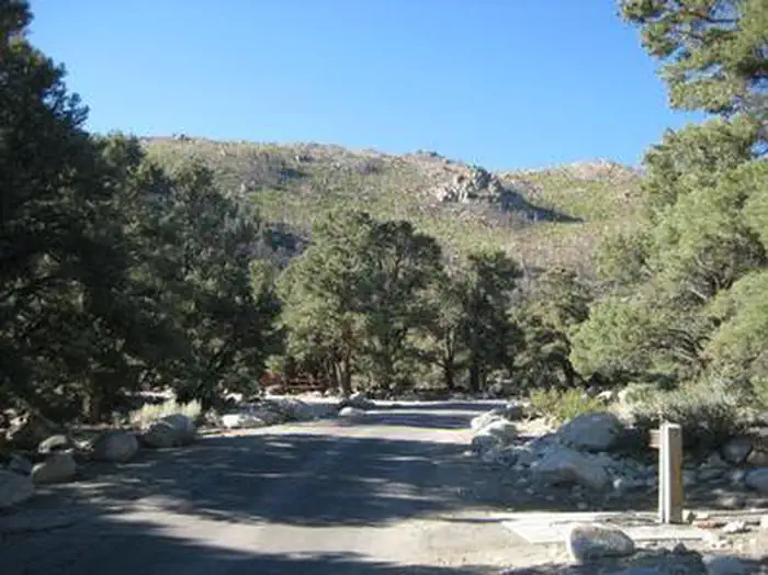 FRENCH CAMP