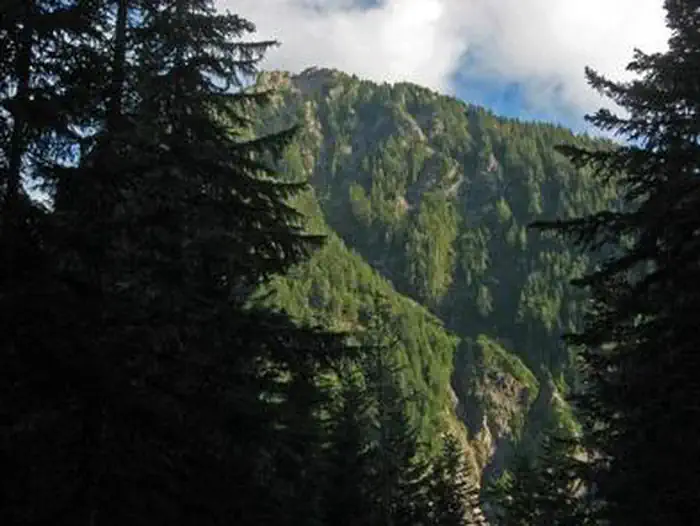 COUGAR ROCK GROUP CAMPGROUND