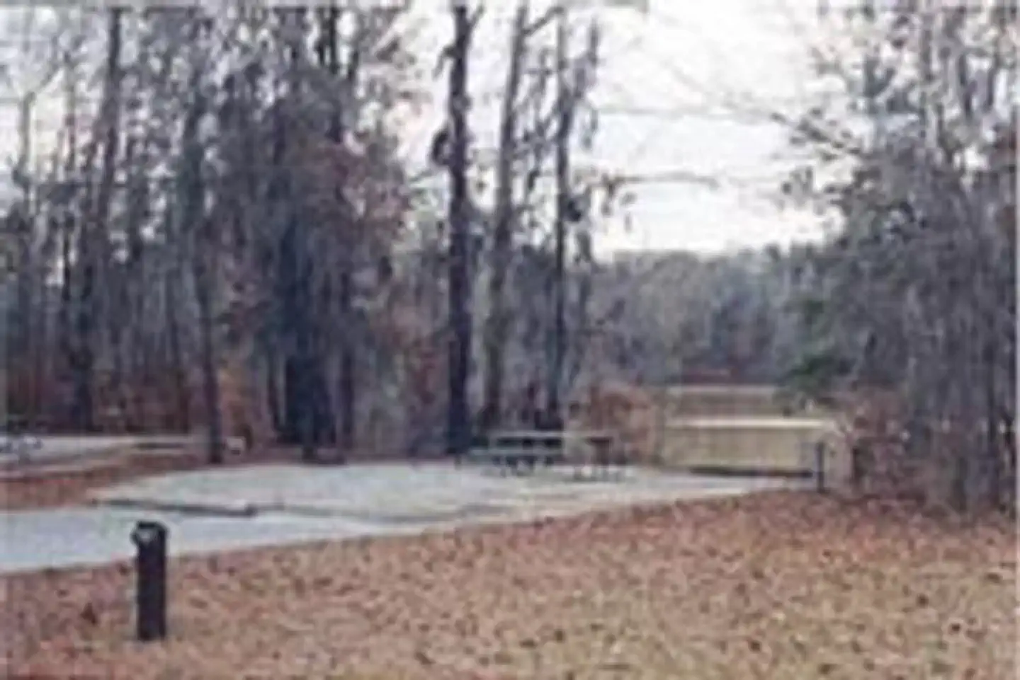 BLUFF CREEK