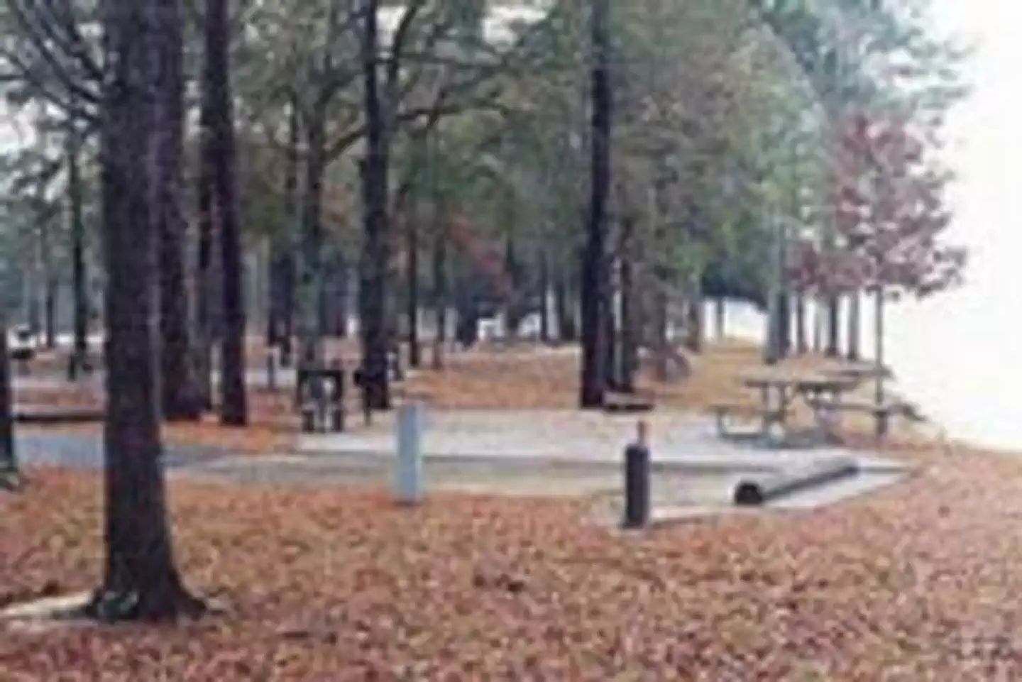 WHITE OAK (CREEK) CAMPGROUND