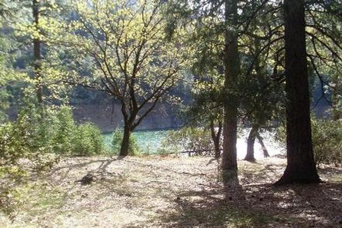 MOORE CREEK