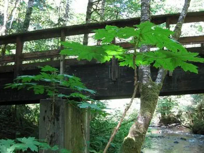 CAMP CREEK
