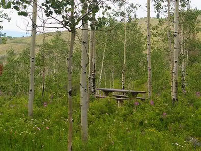 NARROWS CAMPGROUND